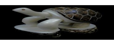 Tortue taillée dans la graine de tagua 