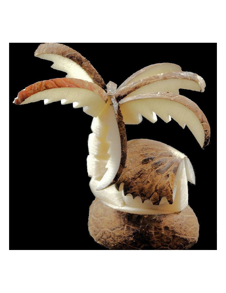 Palmier case taillé dans la graine de tagua