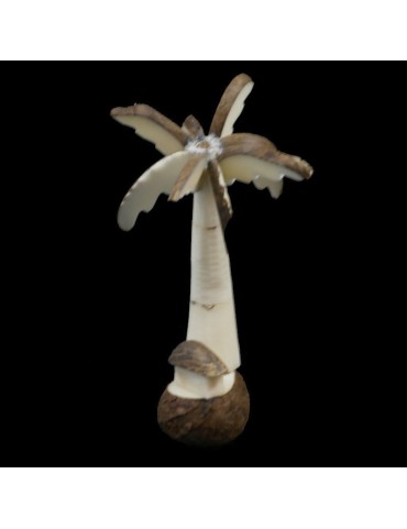  Palmier case taillé dans la graine