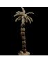 Grand arbre à tagua taillé dans sa graine