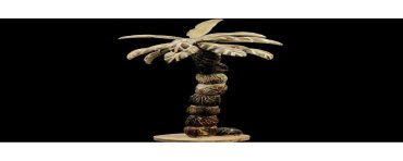 Grand arbre à tagua taillé dans sa graine