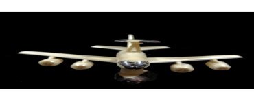 Avion taillé dans la graine de tagua