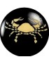 Signe cancer