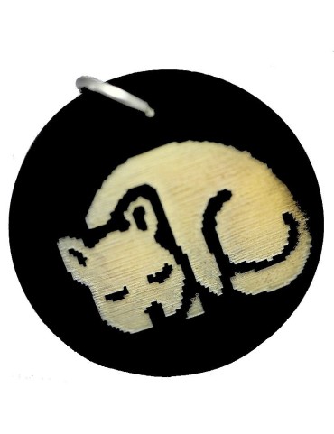 Médaillon pour chat