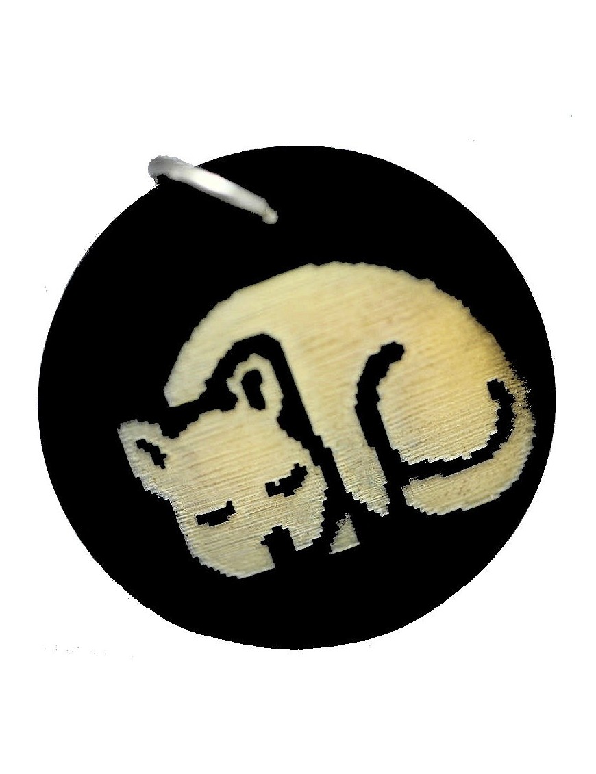 Médaillon pour chat