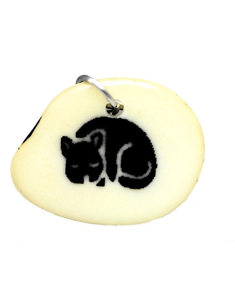 Médaillon pour chat