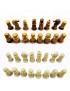 Pièces de Jeu d'échecs en tagua