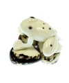 Grenouille taillée dans la graine de tagua