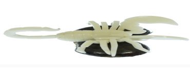 Scorpion taillé dans la graine de tagua 