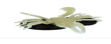 Scorpion taillé dans la graine de tagua 