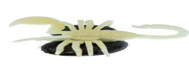 Scorpion taillé dans la graine de tagua 