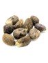 10 Graines brutes moyennes en tagua