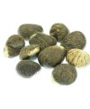 10 petites graines brutes en tagua