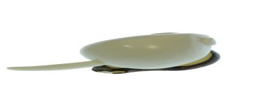 Souris  taillée dans la graine de tagua