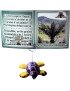 Porte carte tortue 
