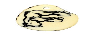 Tranche Tagua gravée lettre F