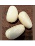 Graines de tagua polies