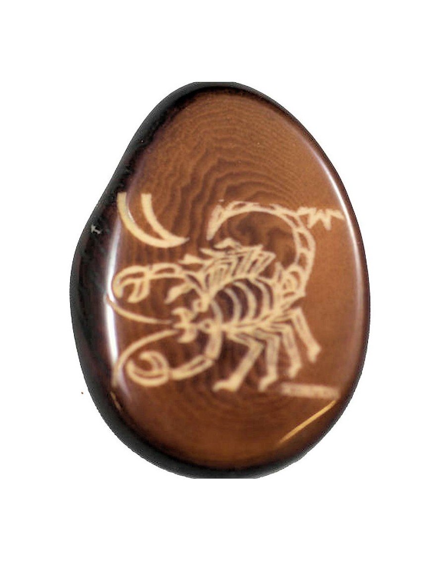 Signe scorpion