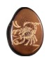 Signe scorpion