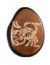 Signe scorpion