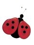 Broche Coccinelle en Tagua ou ivoire végétal