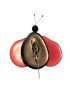 Broche Coccinelle en Tagua ou ivoire végétal