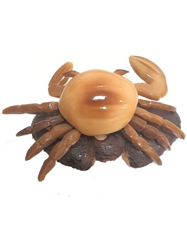 Crabe taillé dans la graine de tagua