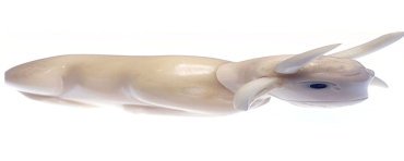 Crèche de Noël taillée dans la graine de tagua 5 figurines