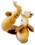 EléphantS de collection tailléS dans la graine de tagua