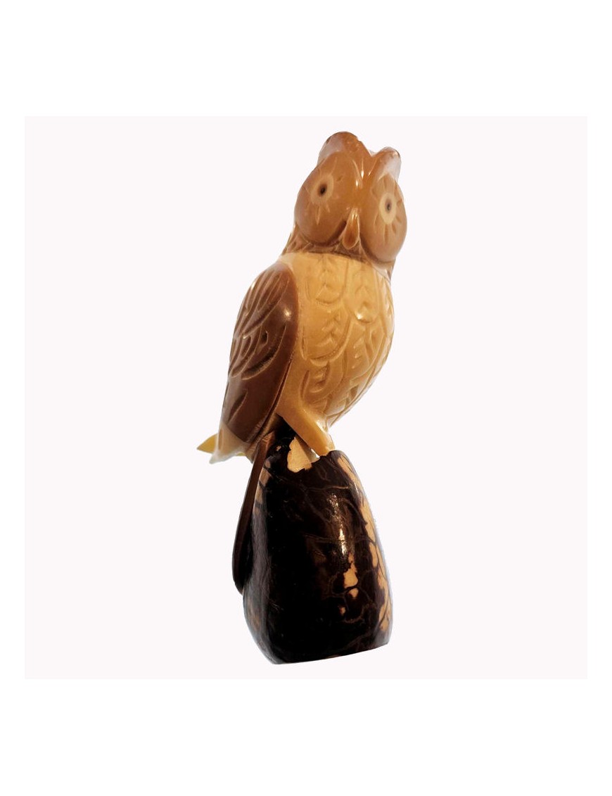 Hibou des marais taillé à partir de la graine de tagua ou corozo