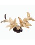 Colibris sur fleurs de lotus taillés dans la graine  de tagua
