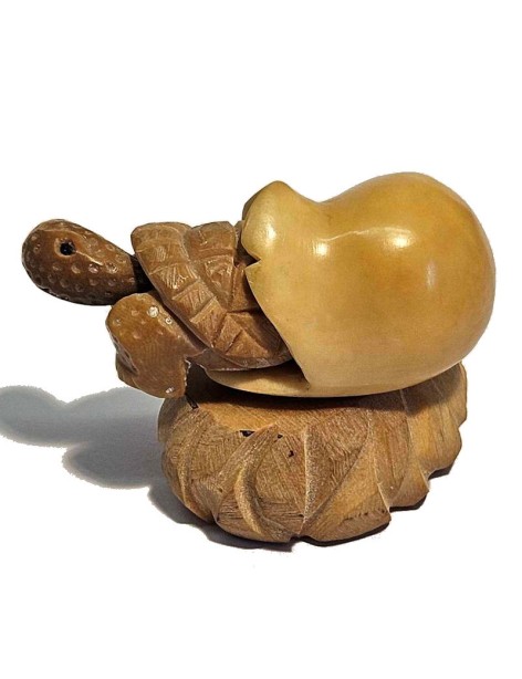 Tortue sortant de l'oeuf taillée dans la graine de tagua ou ivoire végétal Tortue sortant de l'oeuf taillée dans la graine de tagua ou ivoire végétal