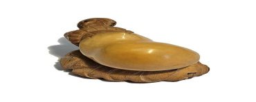 Tortue sortant de l'oeuf taillée dans la graine de tagua ou ivoire végétal
