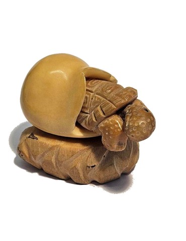 Tortue sortant de l'oeuf taillée dans la graine de tagua ou ivoire végétal