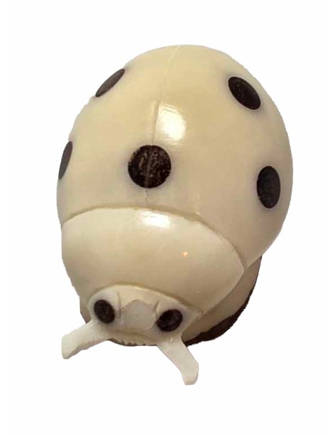 Coccinelle taillée dans la graine de tagua (ivoire végétal ou corozo).
