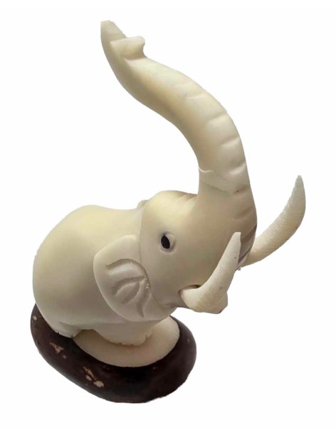 Eléphant taillé dans la graine de tagua ou ivoire végétal Eléphant taillé dans la graine de tagua ou ivoire végétal