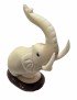 Eléphant taillé dans la graine de tagua ou ivoire végétal