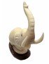 Eléphant taillé dans la graine de tagua ou ivoire végétal