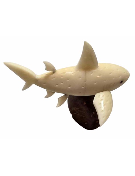 Requin taillé dans la graine de tagua (voire végétal ou corozo). Requin taillé dans la graine de tagua (voire végétal ou corozo).