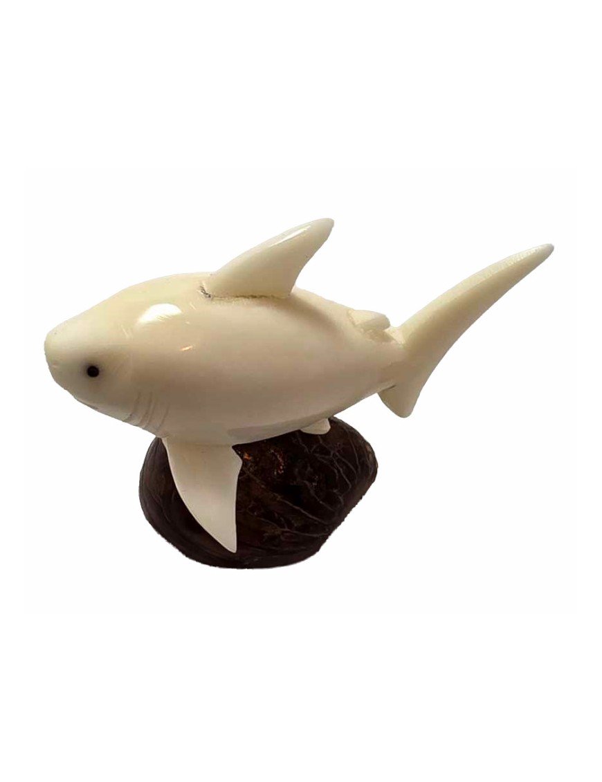 Requin taillé dans la graine de tagua appelée aussi ivoire végétal
