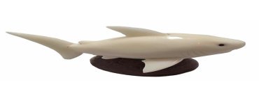 Requin taillé dans la graine de tagua appelée aussi ivoire végétal
