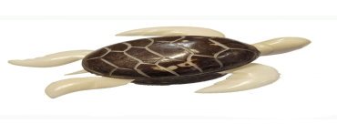 Tortue de mer taillée dans la graine de tagua (ivoire végétal ou corozo).