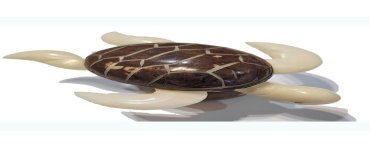 Tortue de mer taillée dans la graine de tagua (ivoire végétal ou corozo).