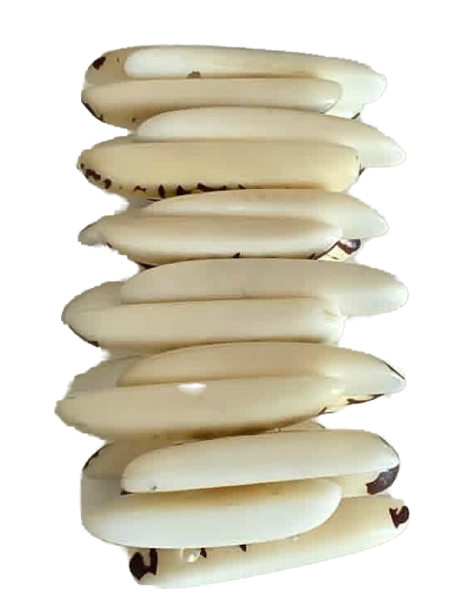 Bracelet en tagua naturelle artisanal – 26 lamelles – Atelier Tagua World