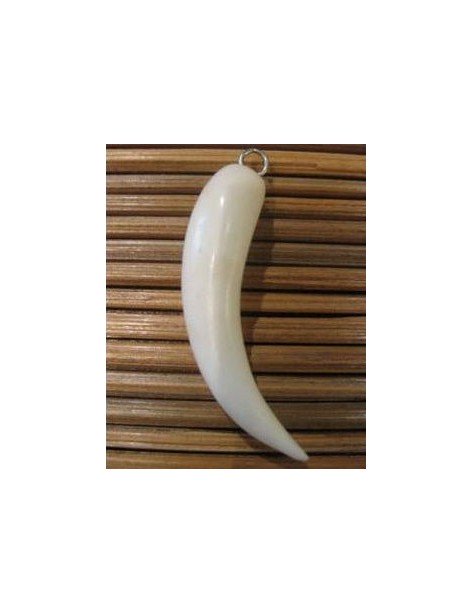 pendentif tagua dent pendentif tagua dent